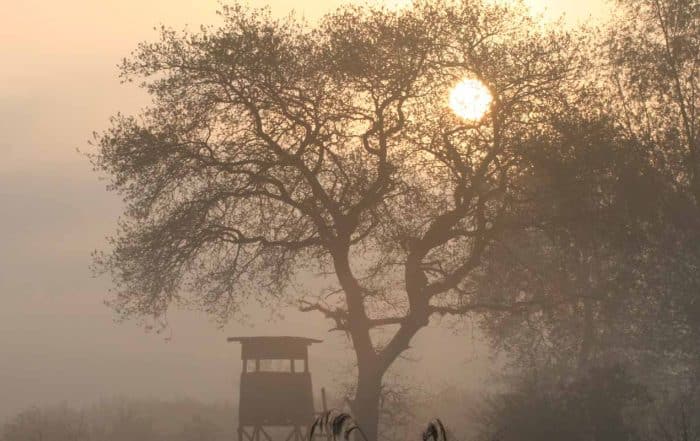 Ein Hochsitz im Morgengrauen im Nebel beim Sonenaufgang.