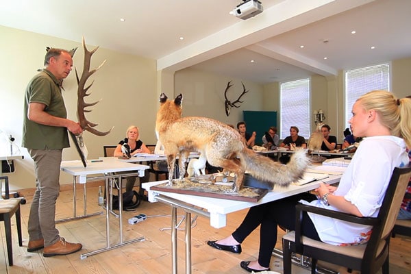 Schülerinnen und Schüler mit Ihrem Lehrer im Jagdschein Seminar um Jäger zu werden. Ein Fuchs und Vögel stehen für die Ausbildung bereit.
