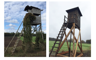 Zwei Hochsitze im Vergleich. Links ein älterer Hochsitz etwas eingewachsen mit Rankpflanzen und rechts ein Hochsitz mit neuem Gestell und frisch gestrichen.