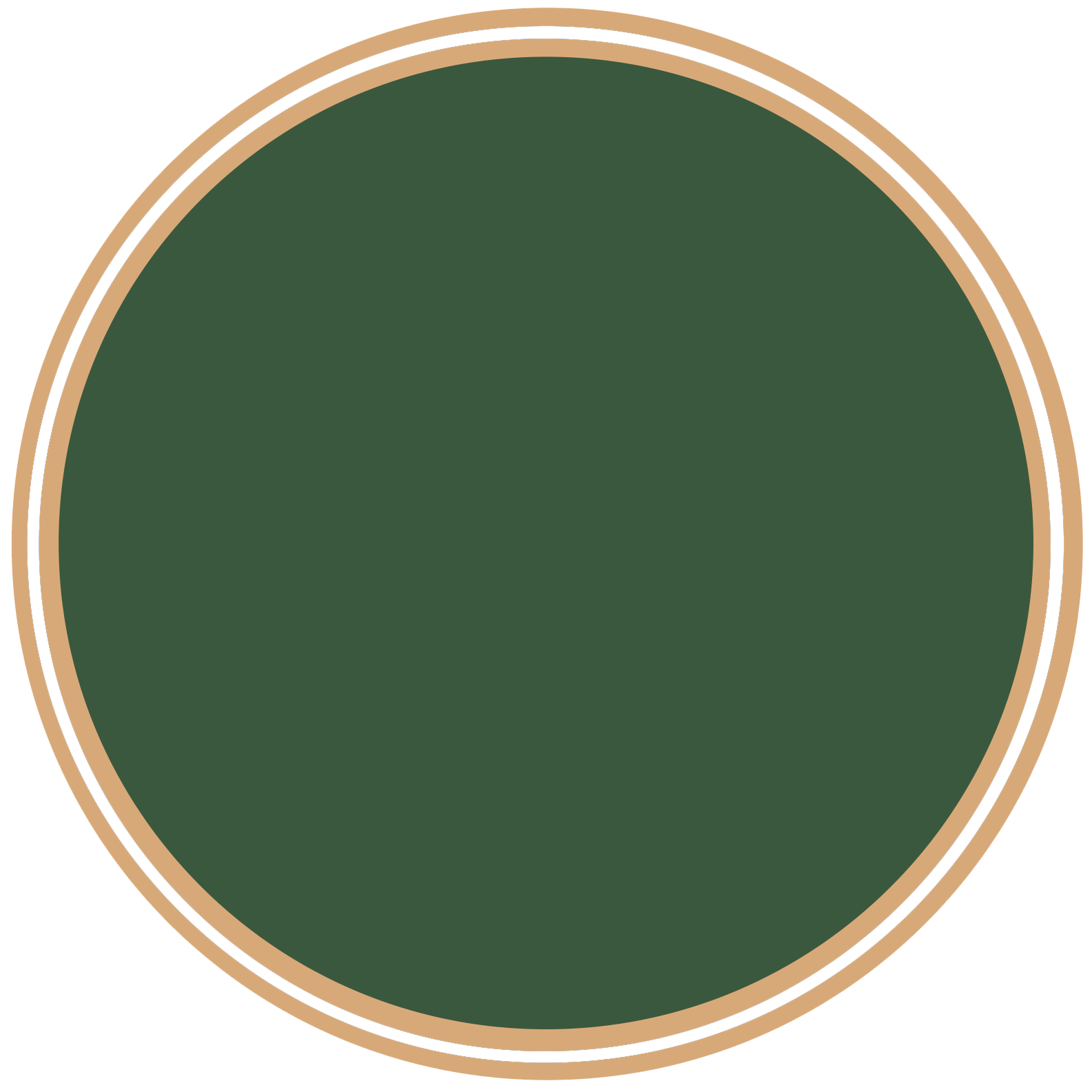 Störer Button